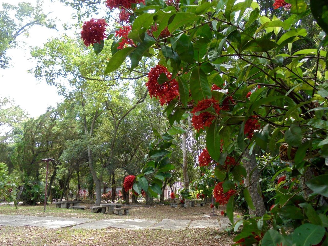 Zijin Homestay Luye Exterior photo